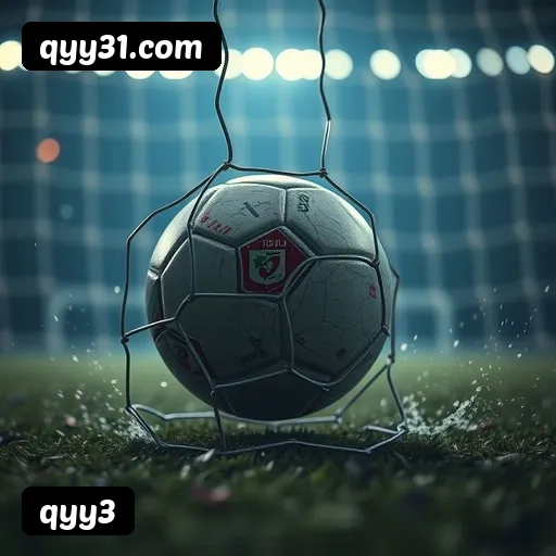 6 vantagens exclusivas do programa VIP da qyy3